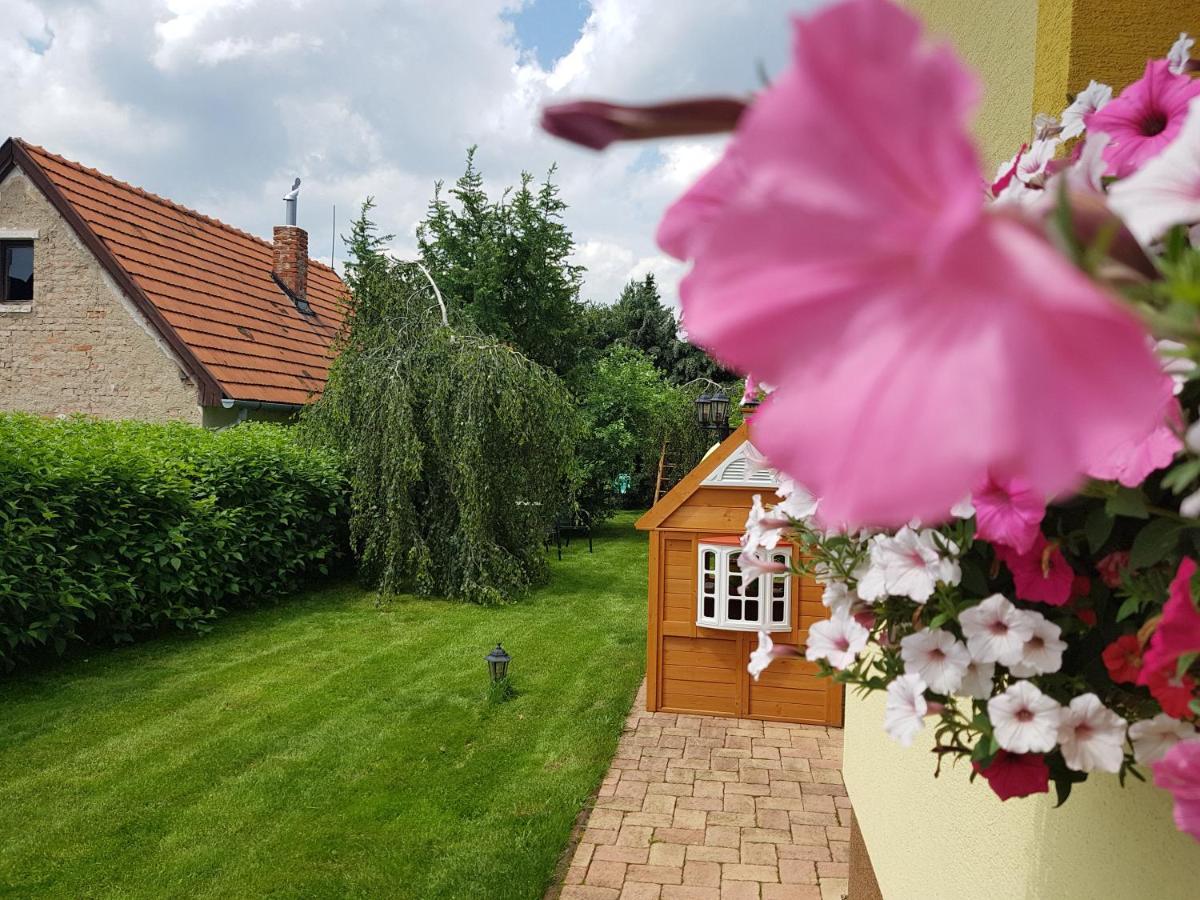 Apartament Zlty Dom Wierzbów Zewnętrze zdjęcie