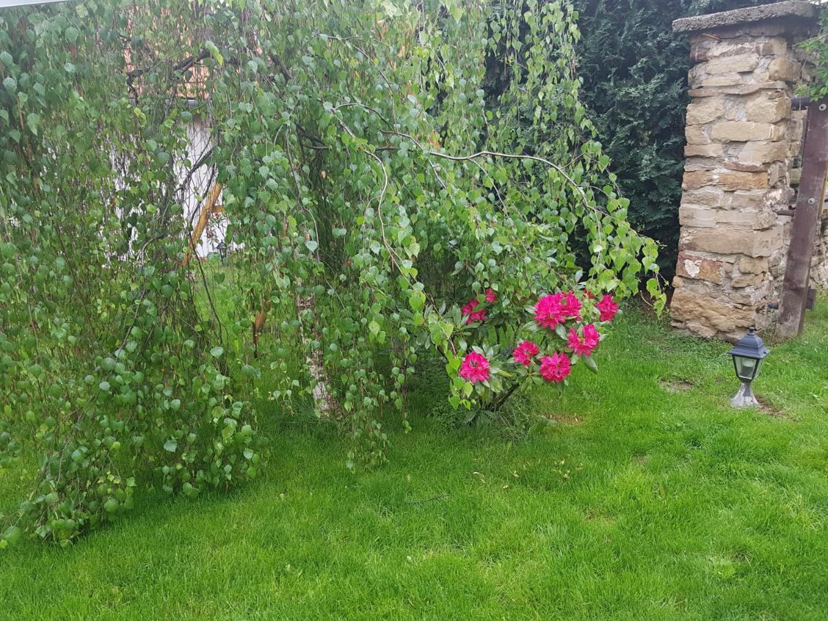Apartament Zlty Dom Wierzbów Zewnętrze zdjęcie