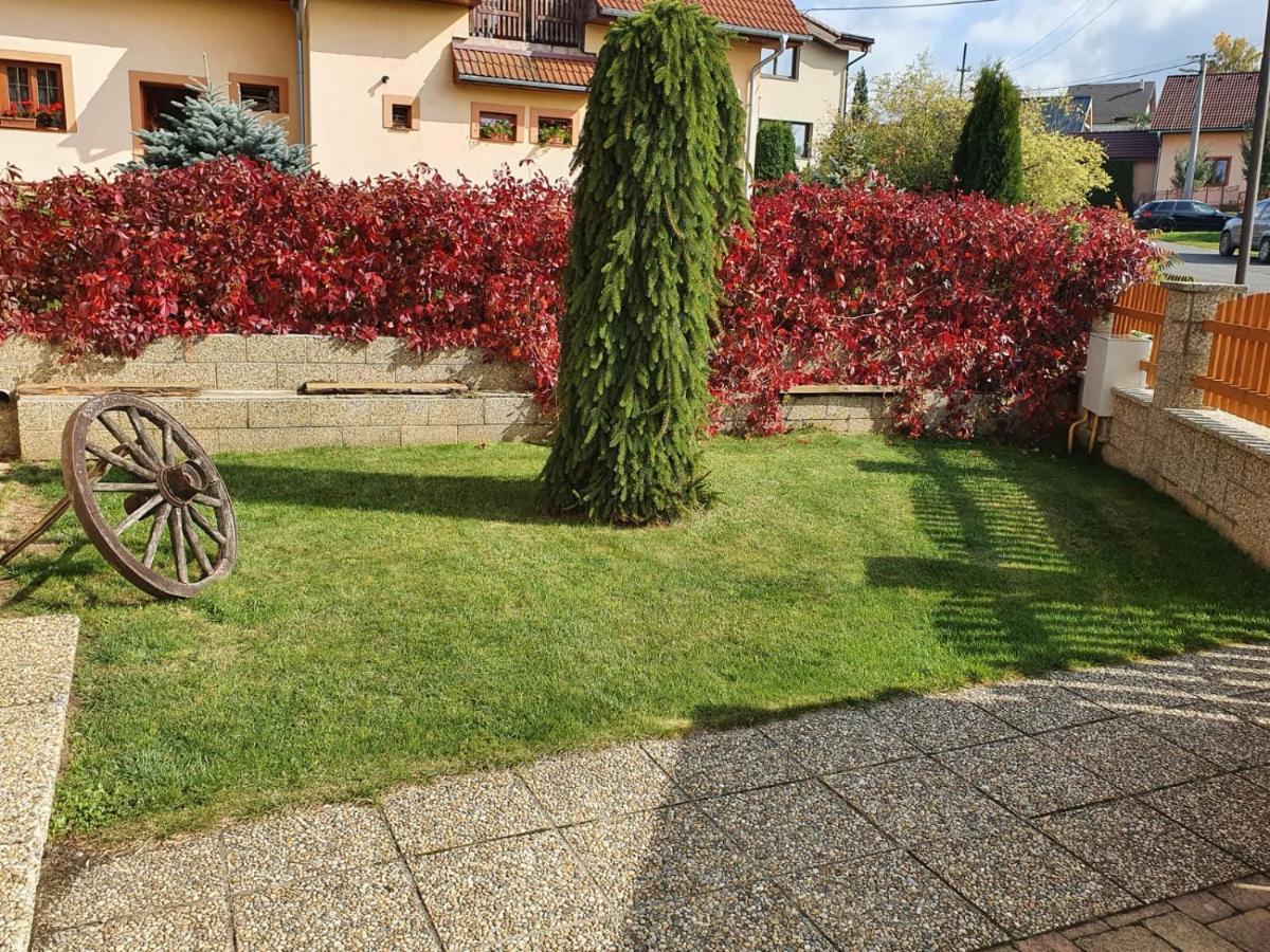 Apartament Zlty Dom Wierzbów Zewnętrze zdjęcie