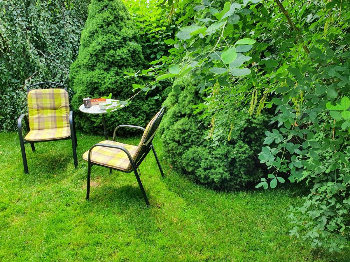 Apartament Zlty Dom Wierzbów Zewnętrze zdjęcie